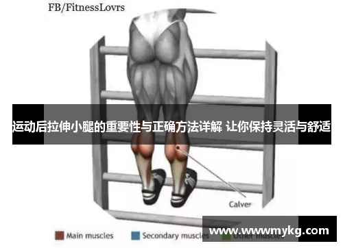 运动后拉伸小腿的重要性与正确方法详解 让你保持灵活与舒适