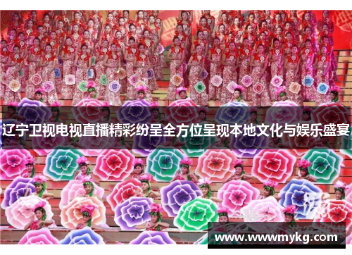 辽宁卫视电视直播精彩纷呈全方位呈现本地文化与娱乐盛宴