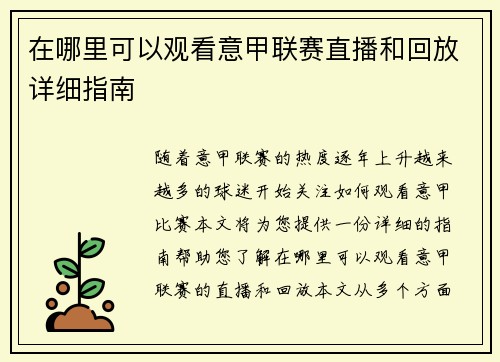 在哪里可以观看意甲联赛直播和回放详细指南